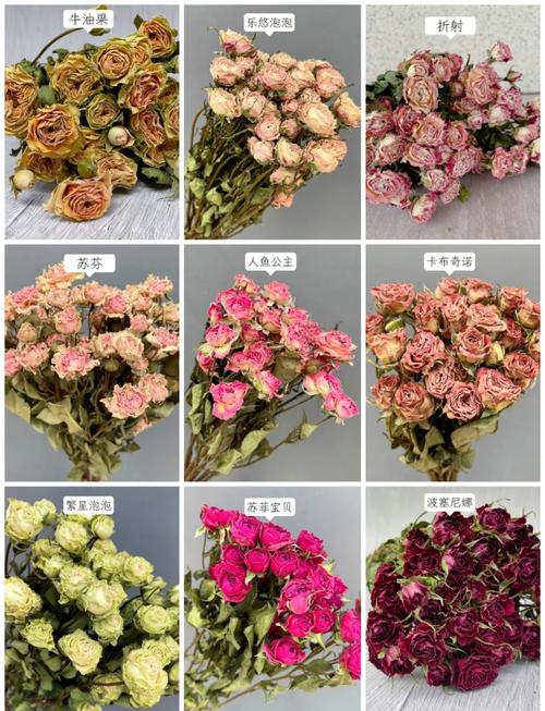 多种适合做天然香氛的干花素材整理图