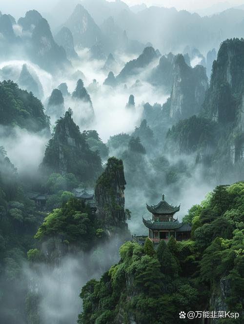 衡山半山亭清晨云雾楠竹景观