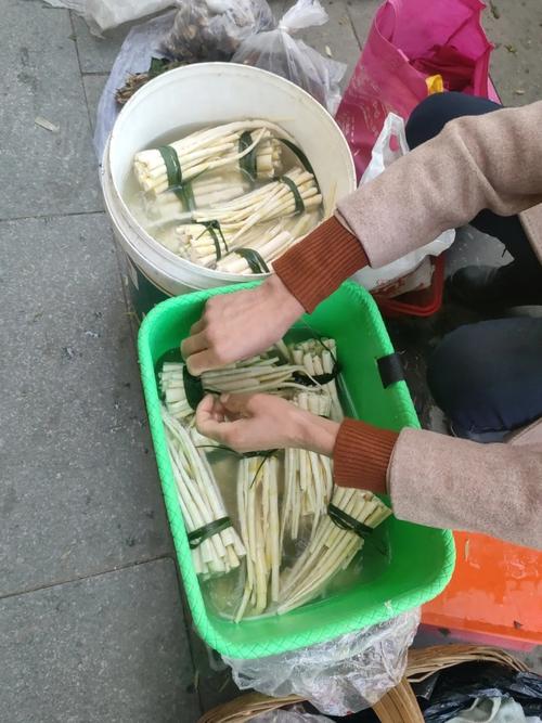 清晨早市竹笋摊