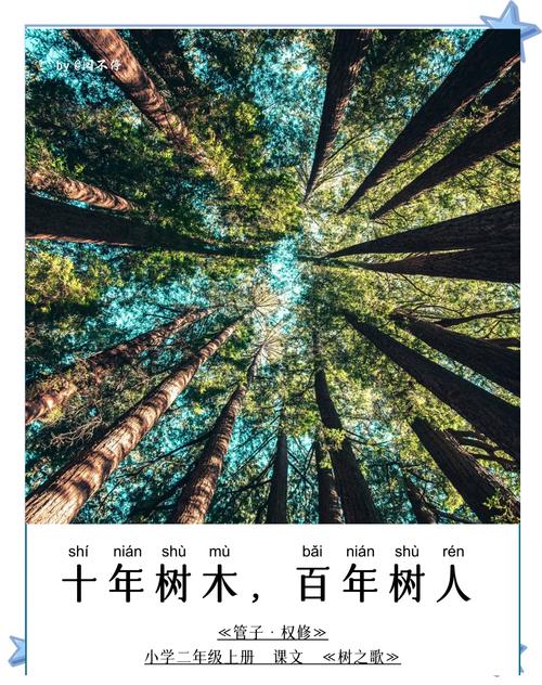 十年树木，复利藏在慢里