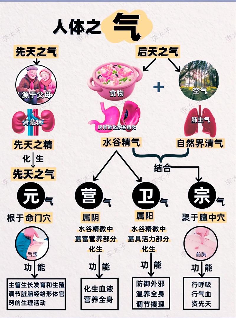 接地气的全局观，都长什么样？