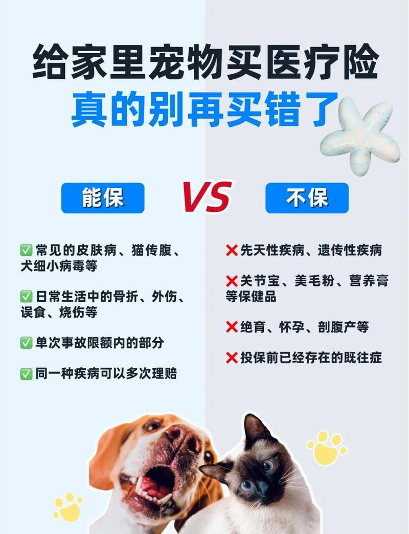 到底要不要买宠物保险,看这两点就够