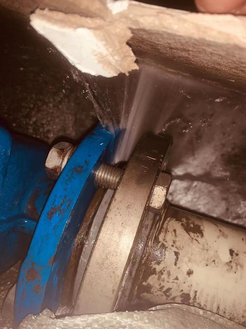 工程师现场维修阀门填料泄漏