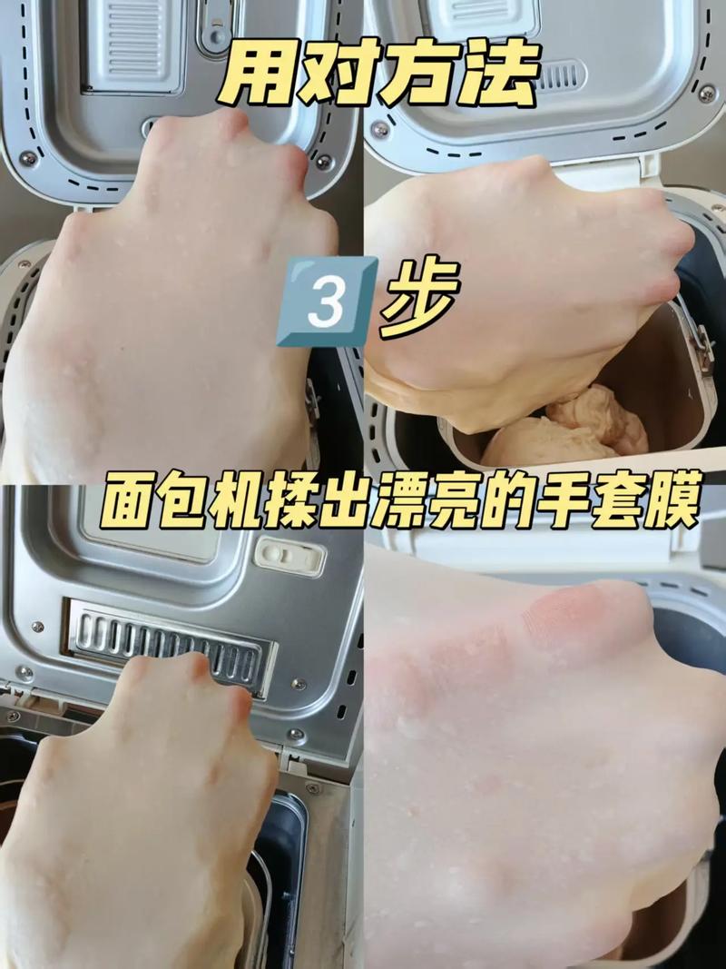 面包揉出手套膜撑开透光展示图