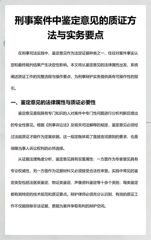 刑事二审辩护证据质证要点手写笔记