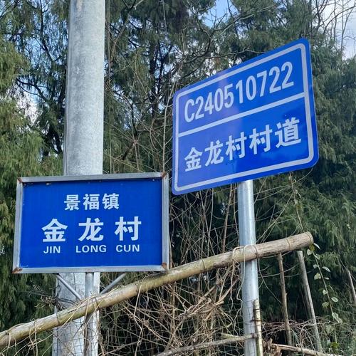 进出村的实用交通信息