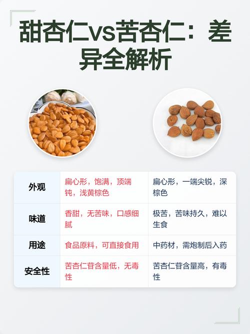 杏仁:这颗小坚果,被你严重低估了-因为所以
