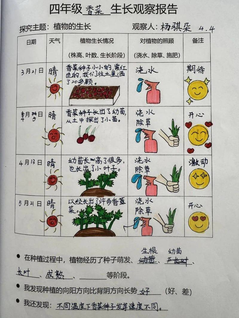 学生自主观察记录校园植物场景