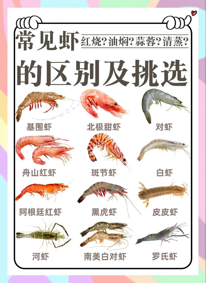 新鲜不新鲜冰鲜虾挑选对比图