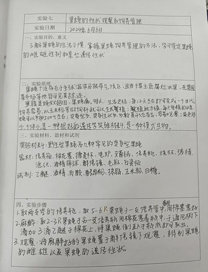 实证观察与实操建议