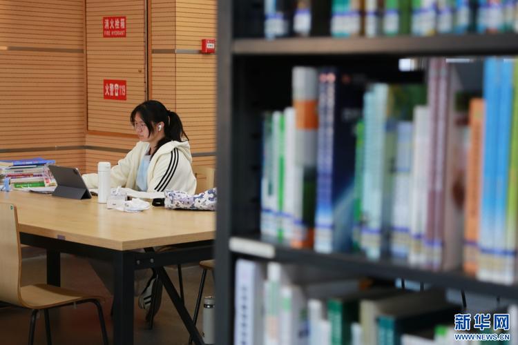考研学生图书馆伪努力打卡桌面