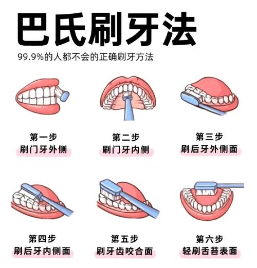 牙龈护理巴氏刷牙法动作示范图