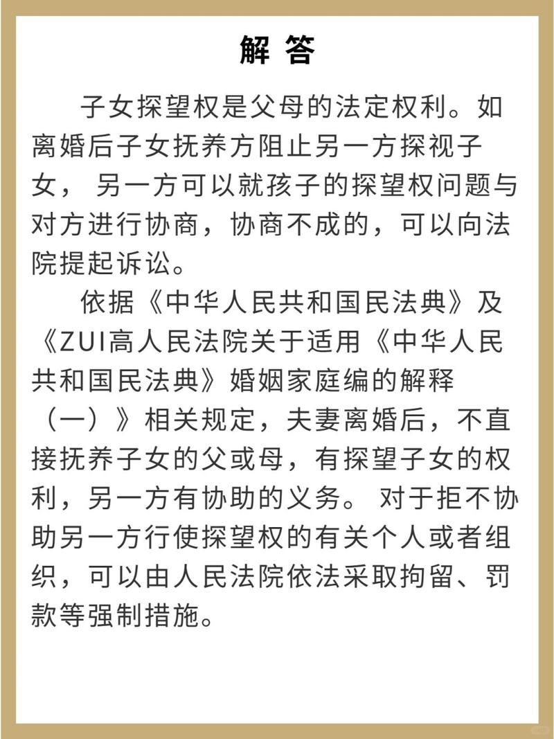 民法典探望权条文手机截图高清图