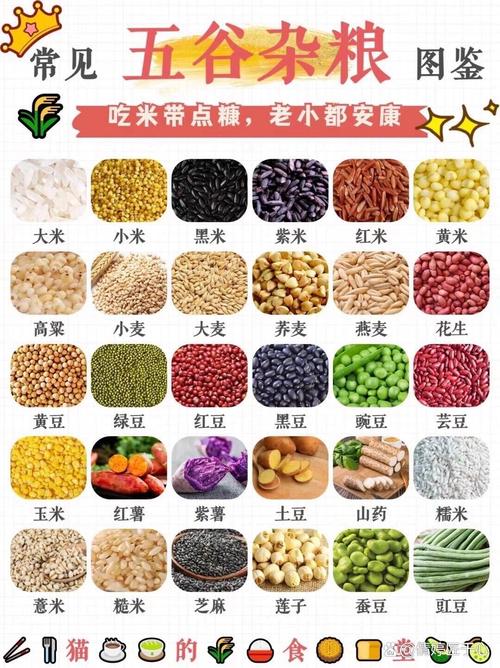 各种谷物杂粮实拍图对比展示