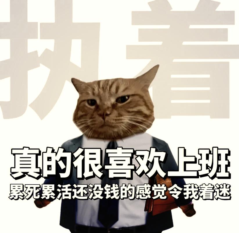 自由职业者对着空白账户余额发呆
