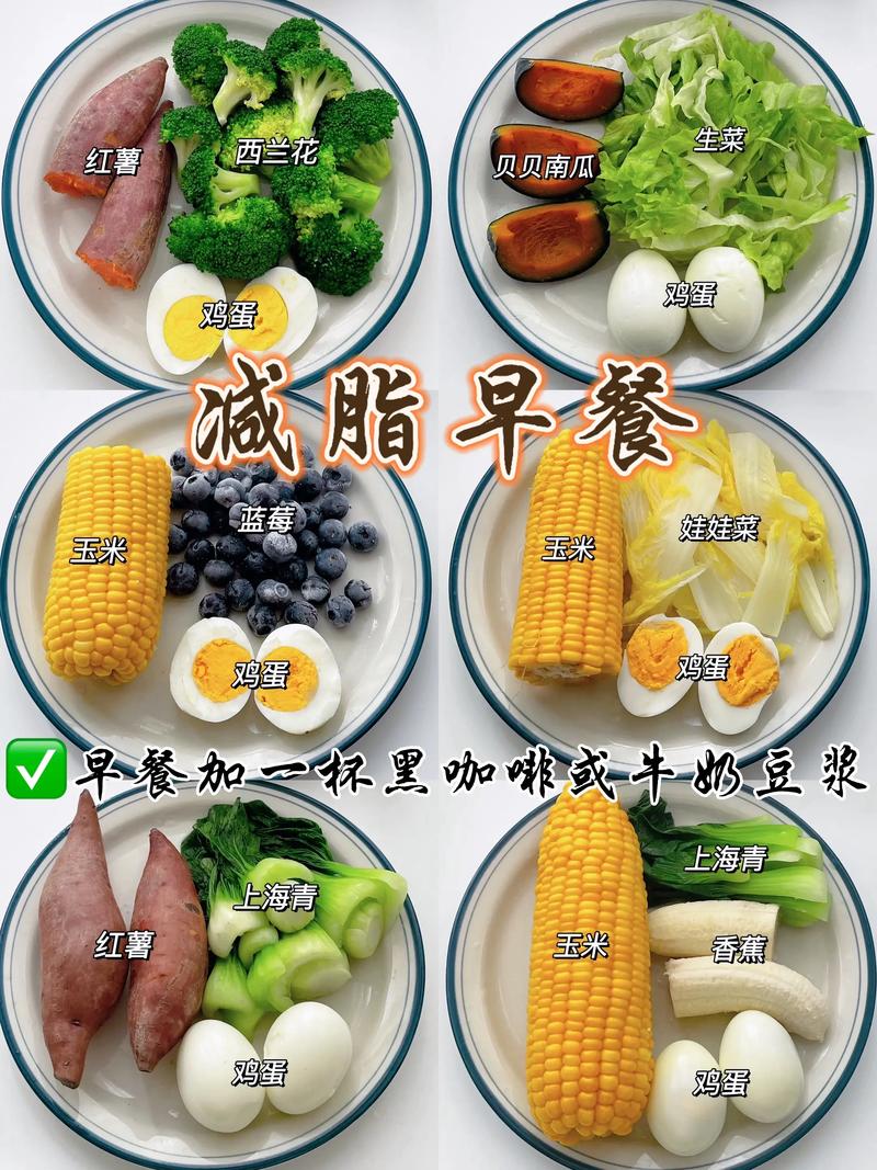 一周不重样的高蛋白菜谱,懒人也能做