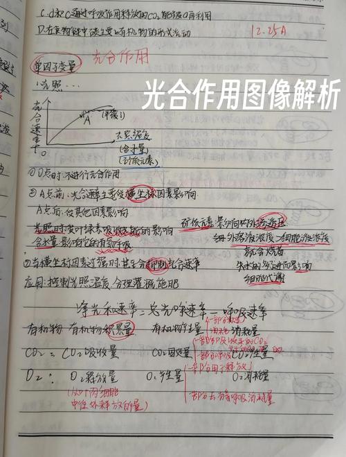 高中生物光合作用多曲线题型易错示例图