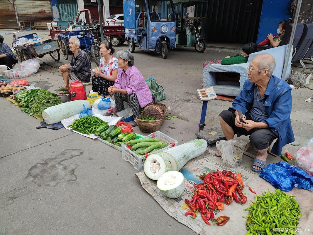 银发老人菜市场挑菜提菜日常场景