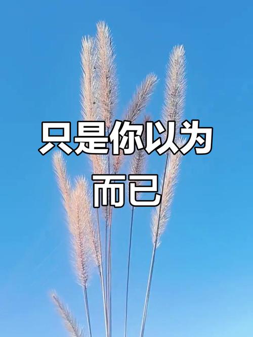 跑偏的元凶，往往不是你以为的那个