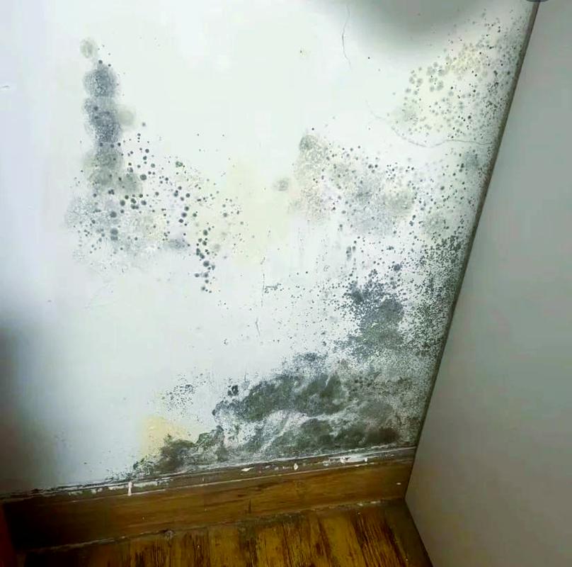 超声波加湿器形成的满屋白粉污染