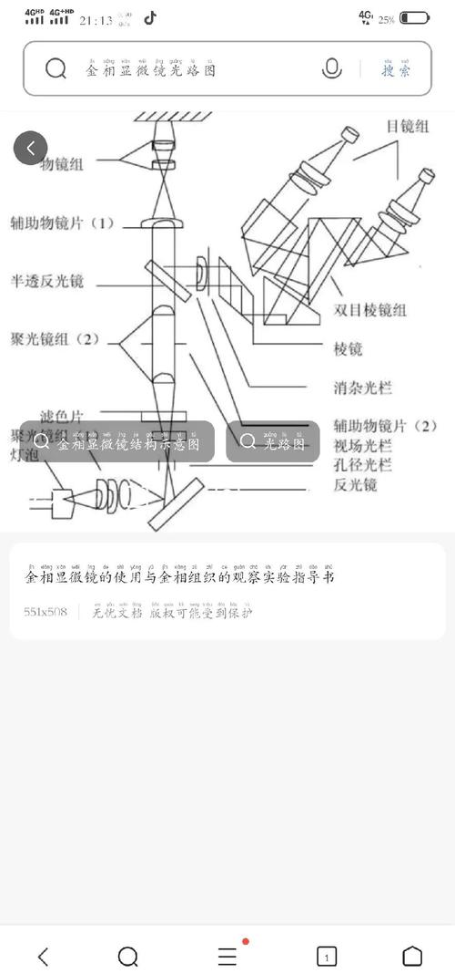 热喷涂涂层截面金相显微镜结构图