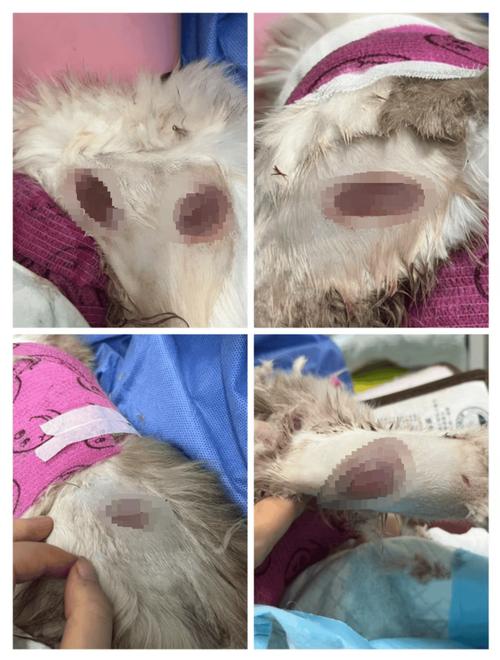 虐待遗弃诉讼核心举证清单