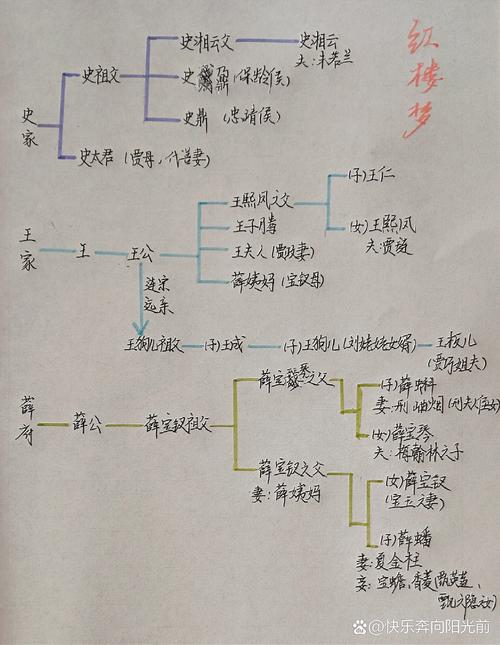 初中生手绘红楼梦人物关系手写作业