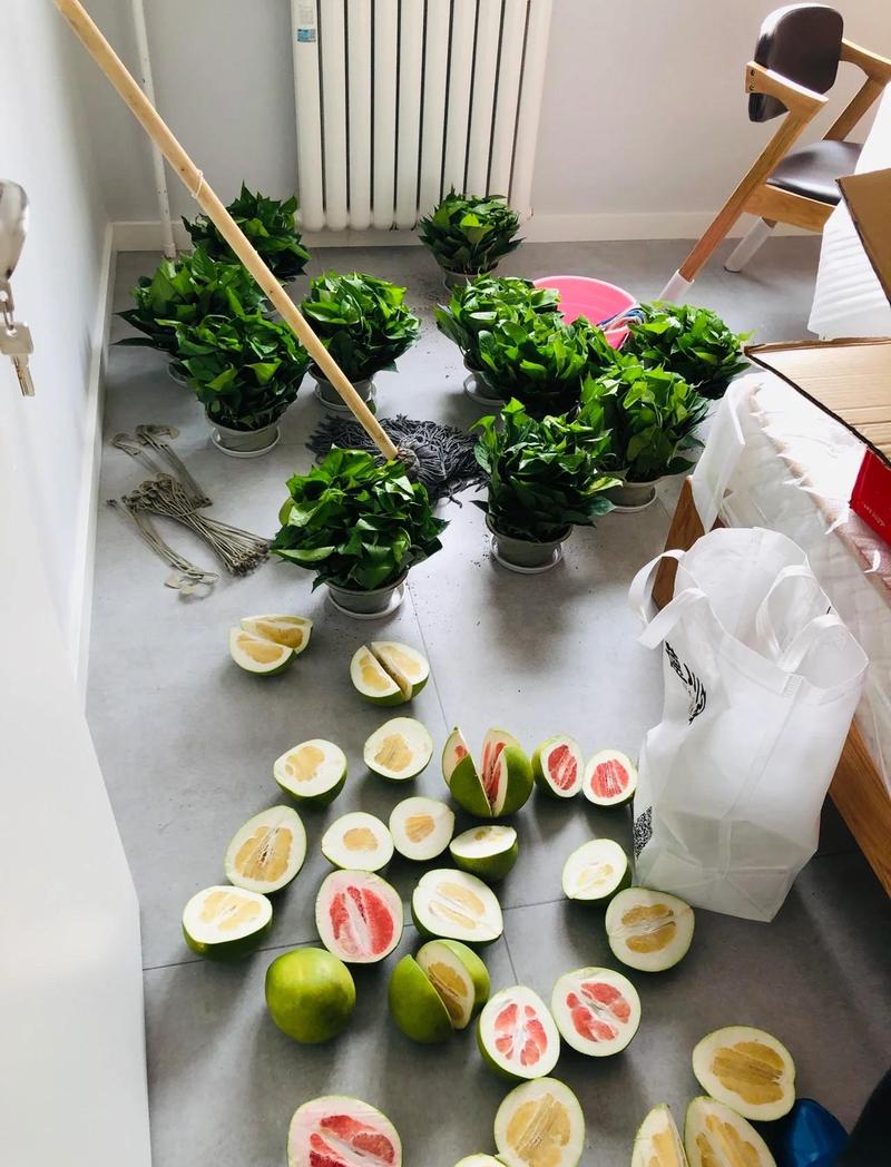 装修后摆放绿萝柚子皮除甲醛误区实拍