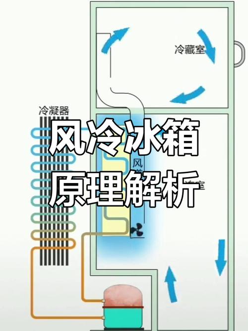 风冷冰箱内部风扇及冷气循环示意图