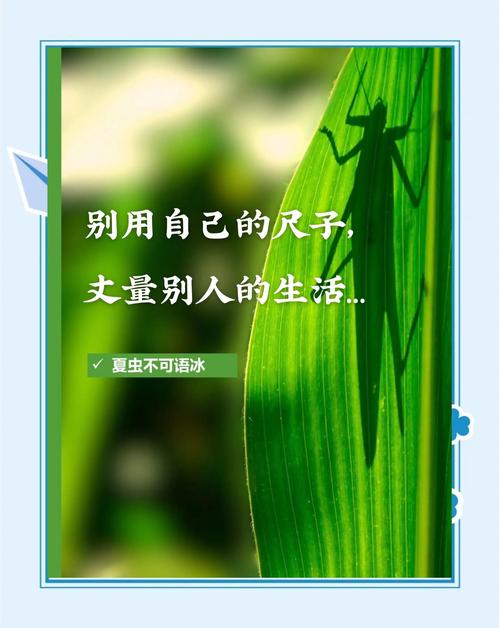 好用不好用,别拿一把尺子量所有