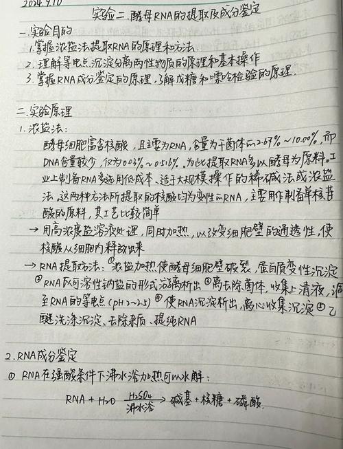 十年基础科研摔坑换得的经验教训总结