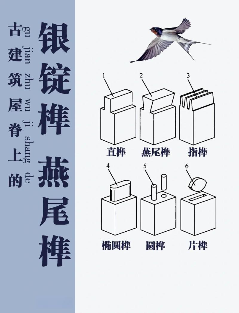 三、榫卯与海风：古建筑教会我们的站立方式