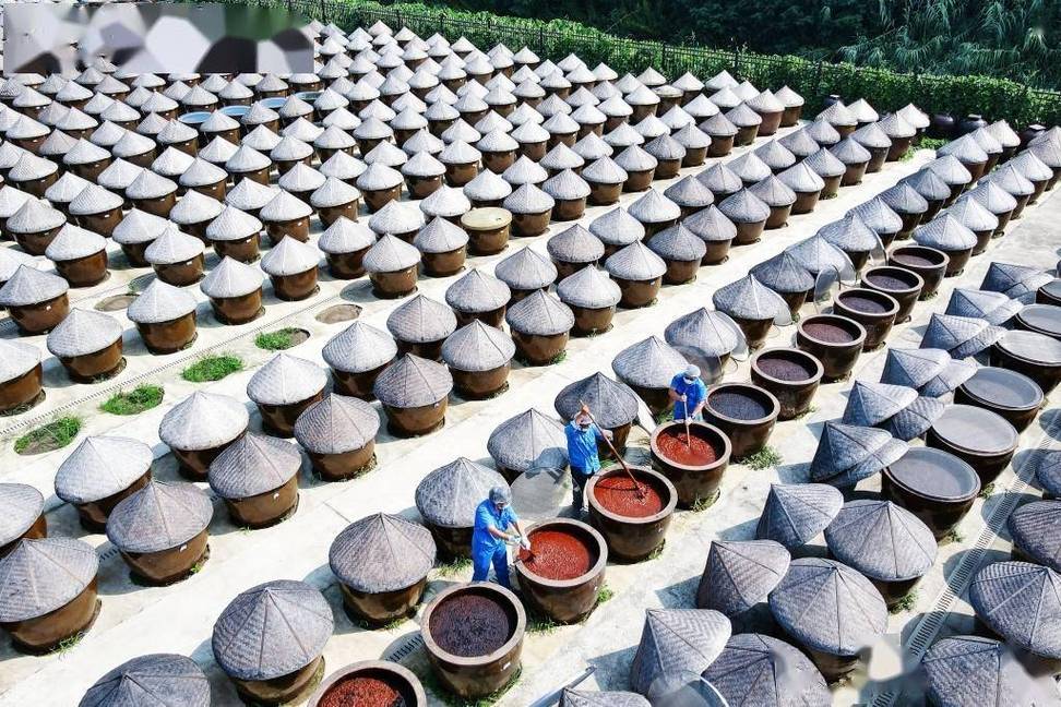 传统酱油发酵陶缸晾晒场景