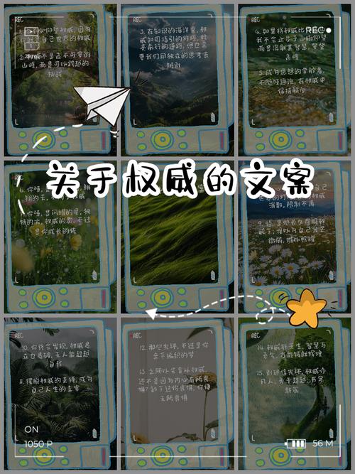 我的私藏推荐（纯主观，不权威）