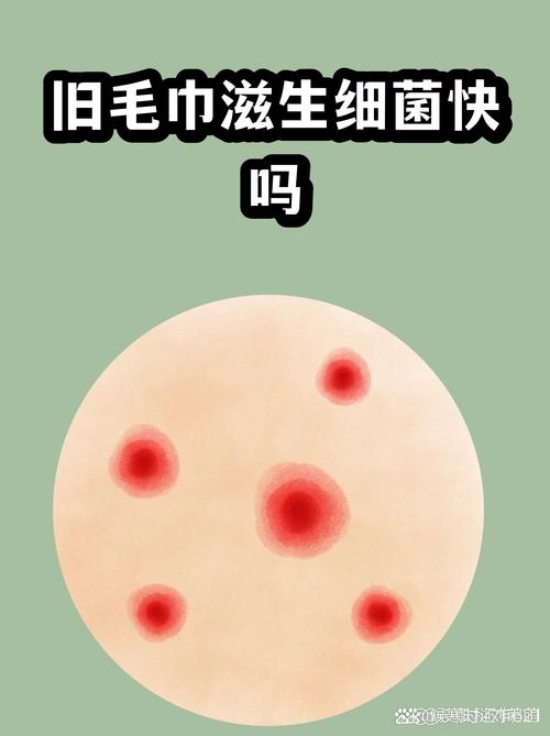 居家旧毛巾表面细菌滋生示意图