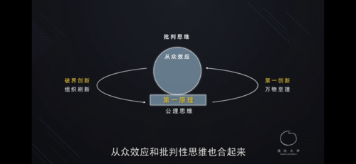 从众效应商业决策路径示意图