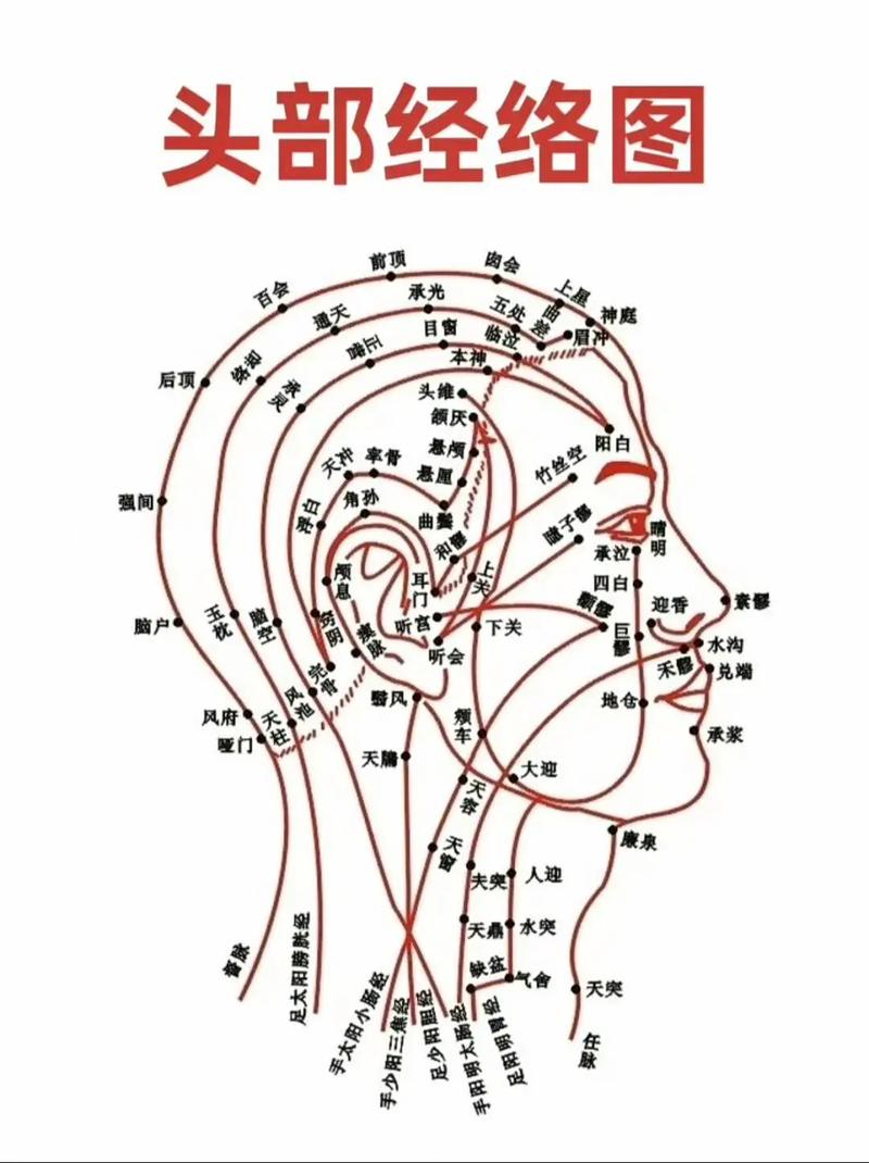 人体头部穴位图标注梳头按摩重点区域