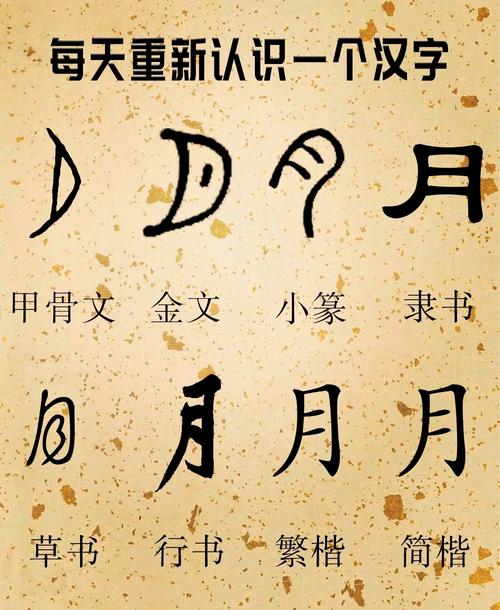 殷墟出土甲骨文原拓日字月字