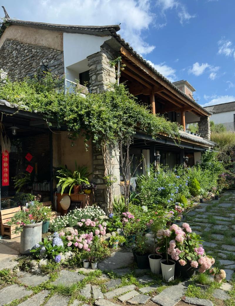大理古城小巷深处民宿绿植庭院
