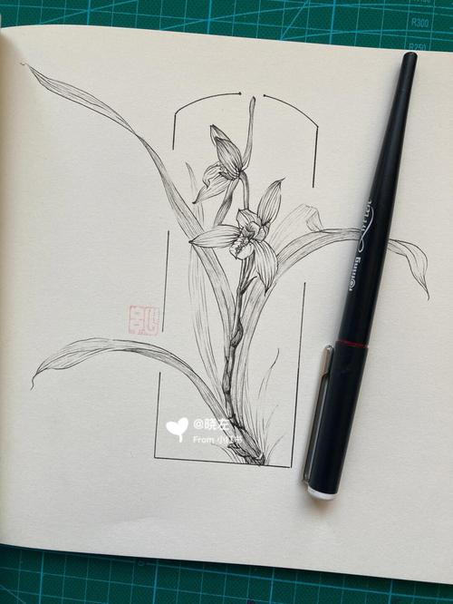 中式兰花国画草稿折纸布局标记