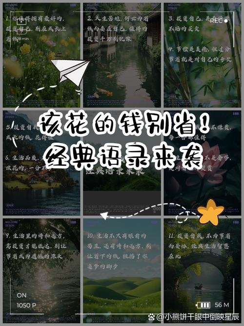 手把手教你选，该花的钱一分不省，不该花的一分不出