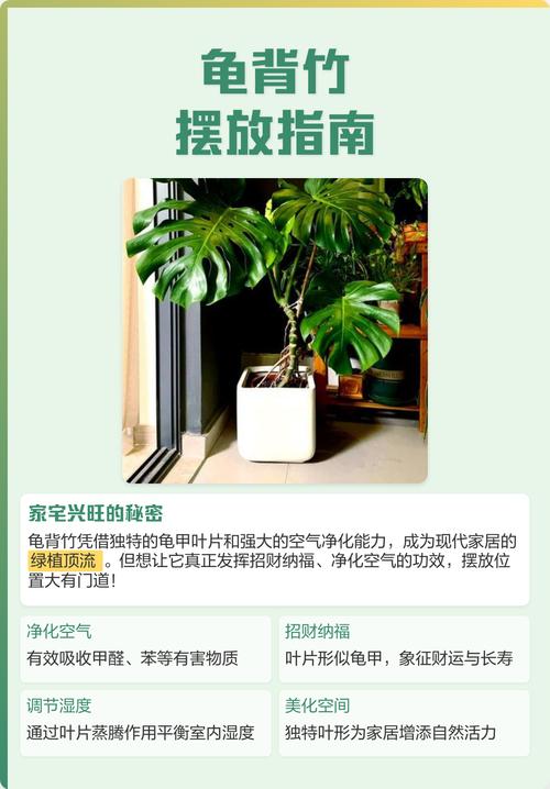 室内通风条件对绿植健康的影响图解