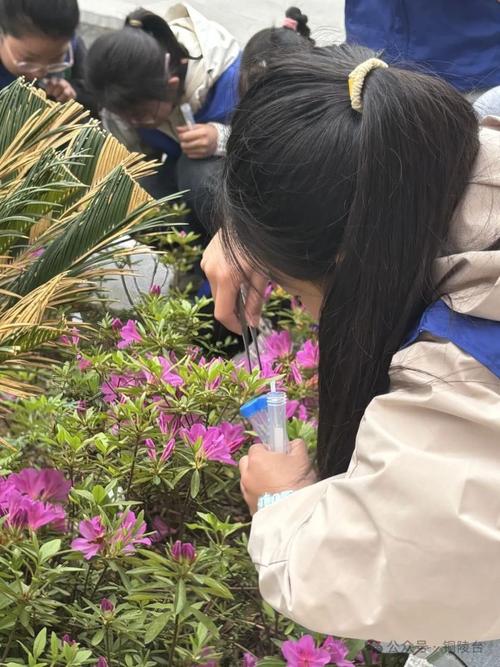 中小学生围在花坛自发观察生物的探究场景