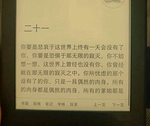 避坑与碎碎念:我的血泪教训