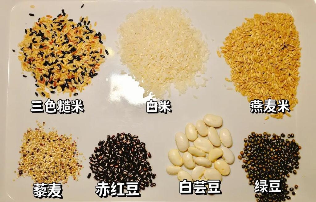 儿童慢消化谷物燕麦糙米豆类搭配餐盘实物图