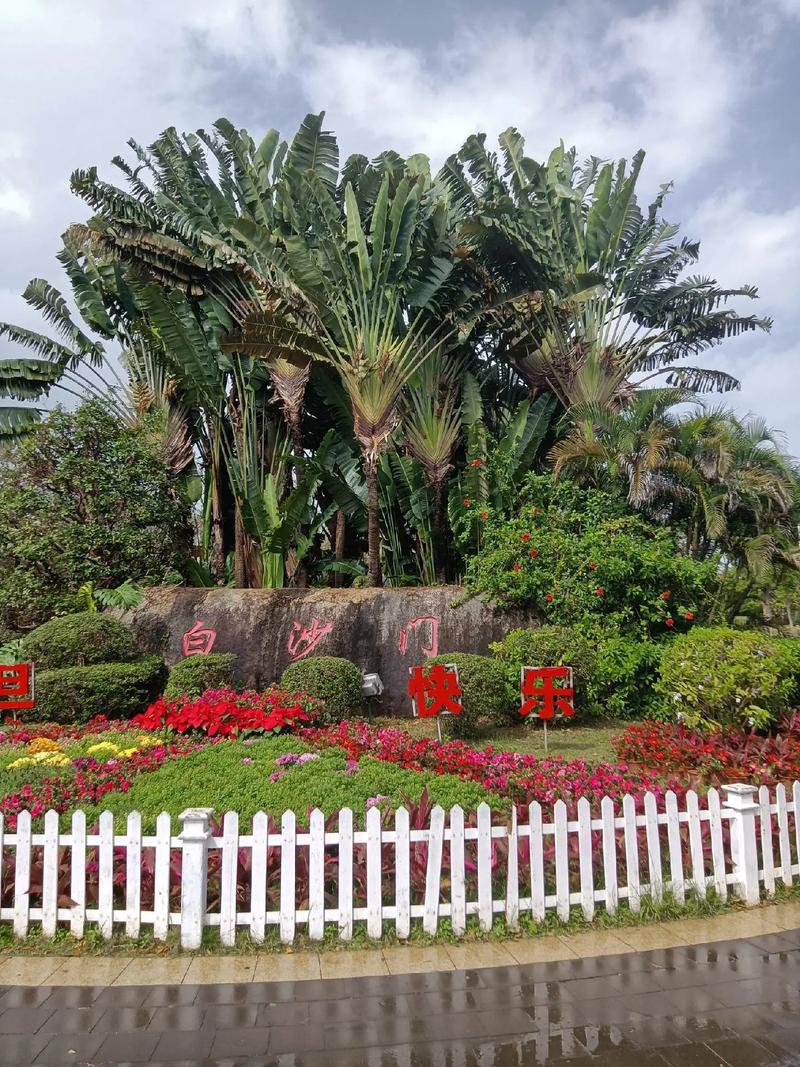 4. 白沙门公园:海滩+草地+大树,一个人承包一片海