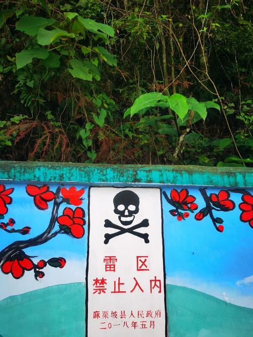 五、住宿与交通:隐蔽的雷区