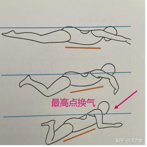 蛙泳换气时上半身角度对比图