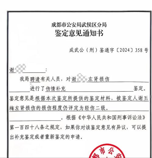家暴伤情鉴定报告样本
