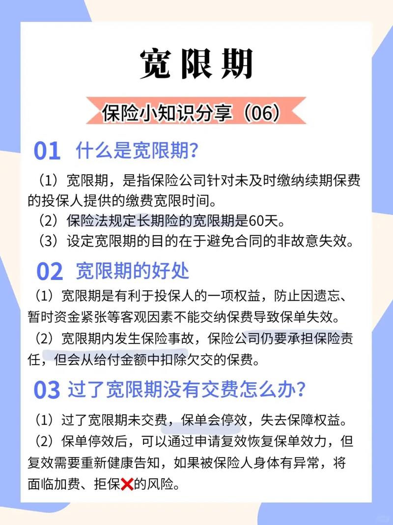 长期人身保险合同宽限期条款示例